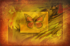 Butterfly Dreams 5sherri nicholas 4600x3000