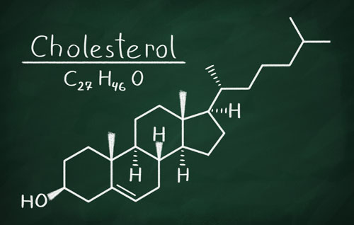 Cholesterol molecule from https://www.billgiles.com.au/wp-content/uploads/cholesterol-500.jpg