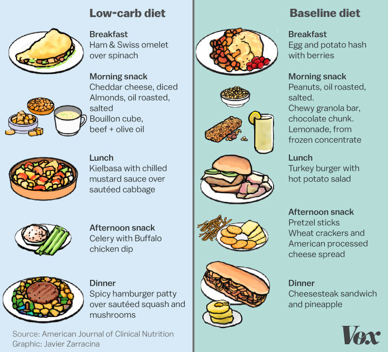 Nutrition Comparison by Javier Zarracina/Vox