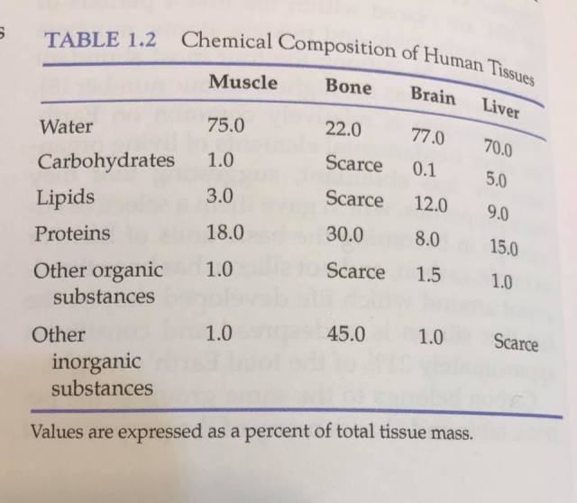 body macronutrient ratios