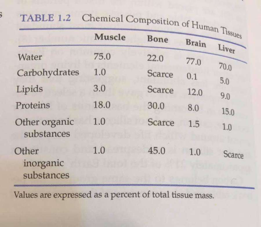 body macronutrient ratios