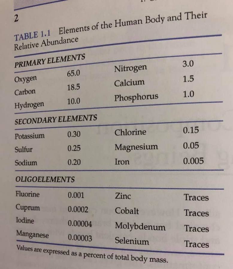 body mineral levels