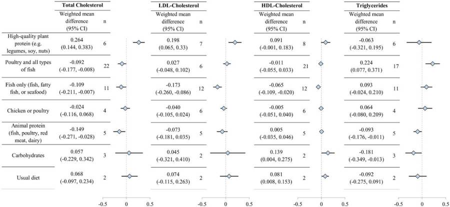All Foods in the Metadata Analysis